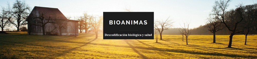 BioAnimas