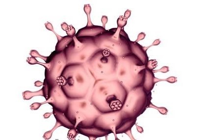 virus papiloma humano